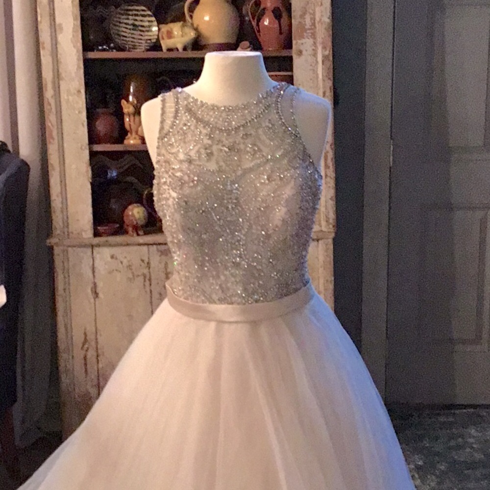 Stunning Champagne Bridal Gown & Cathedral Veil